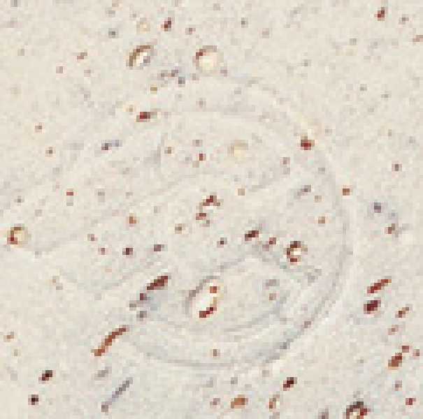 Lenkerband Cinelli CORK GEL