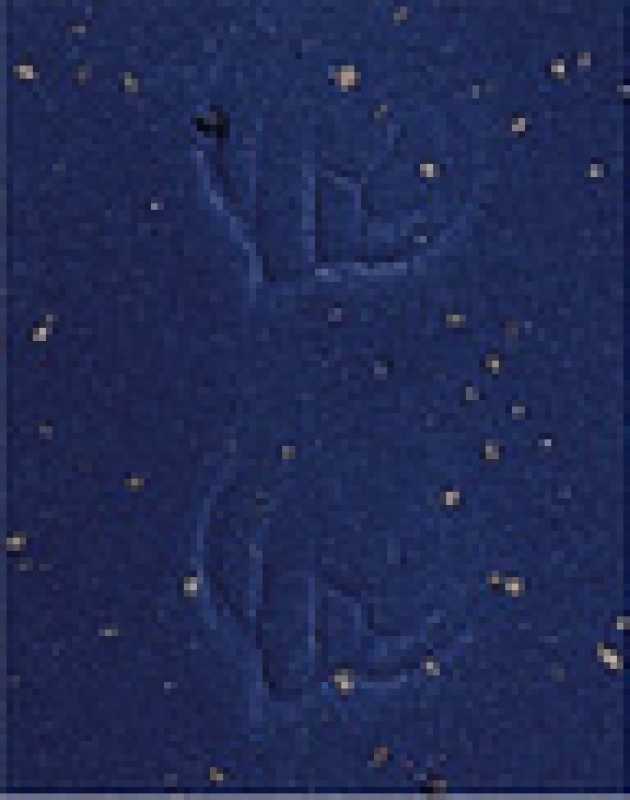 Lenkerband Cinelli CORK